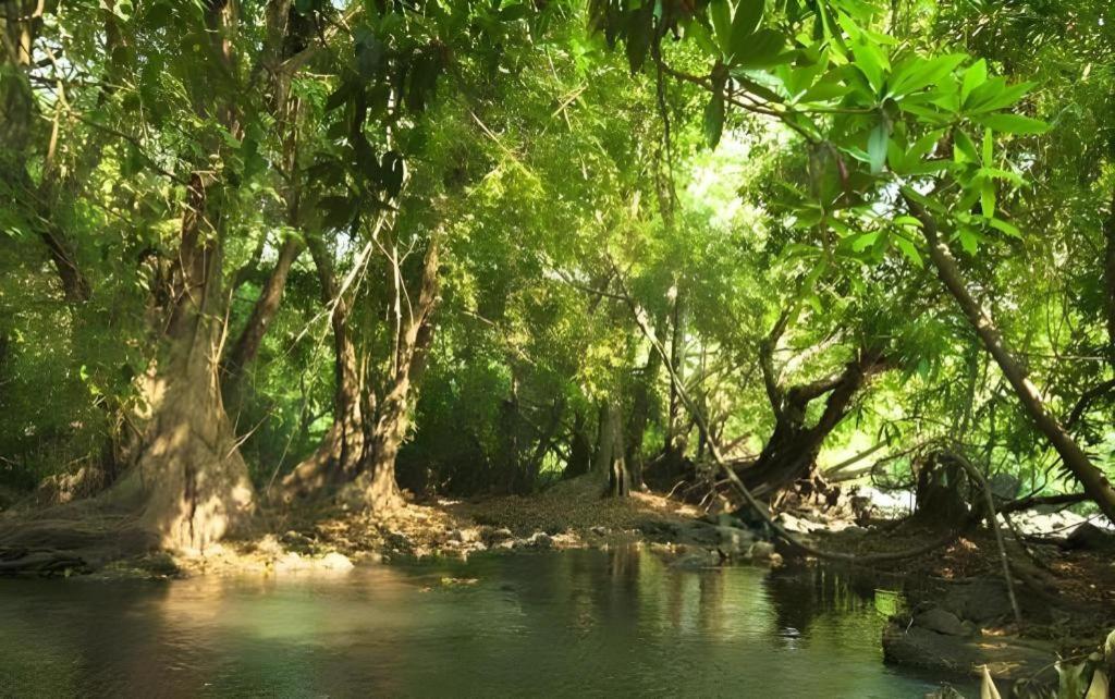 Natural Park Resort De Wang Thong Пхитсанулок Экстерьер фото